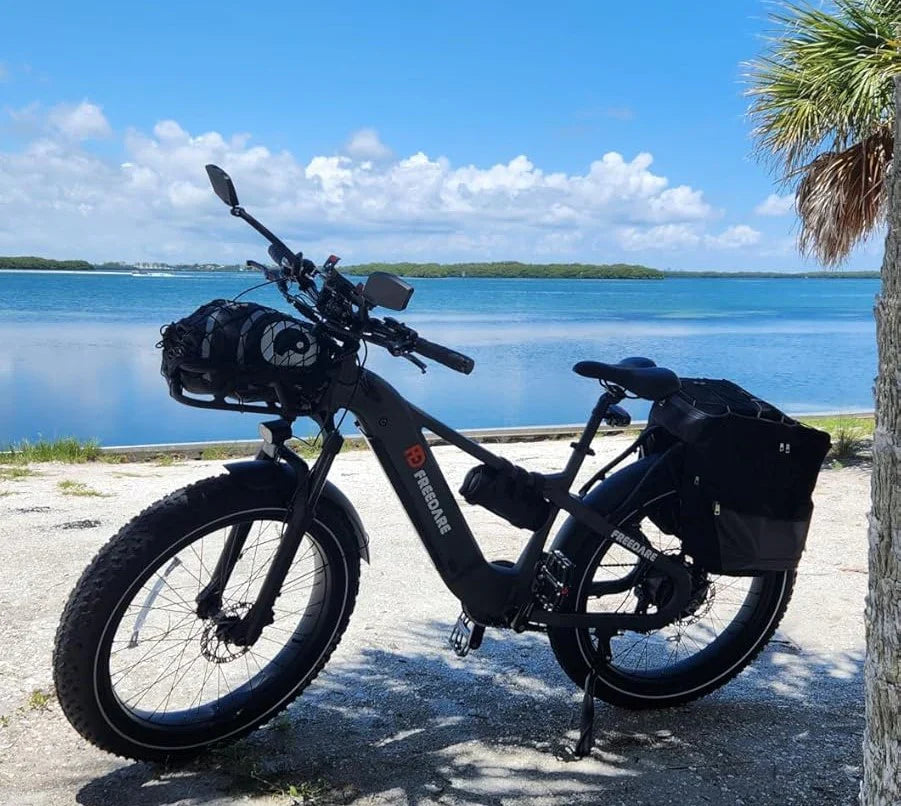Freedare ebike for travel